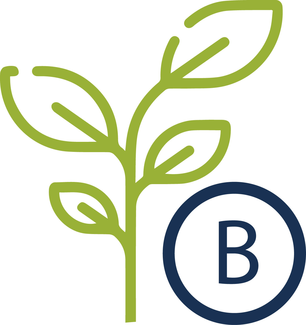 BordenAtivo 7 (1)