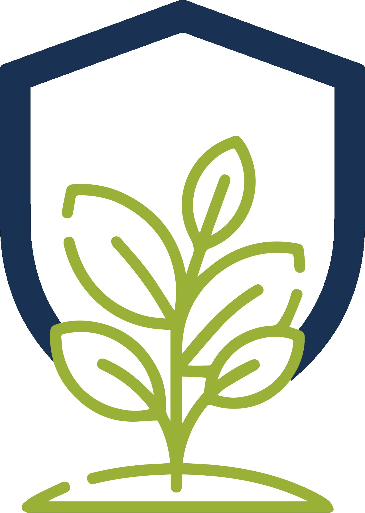 CisbraminoAtivo 9 (1)